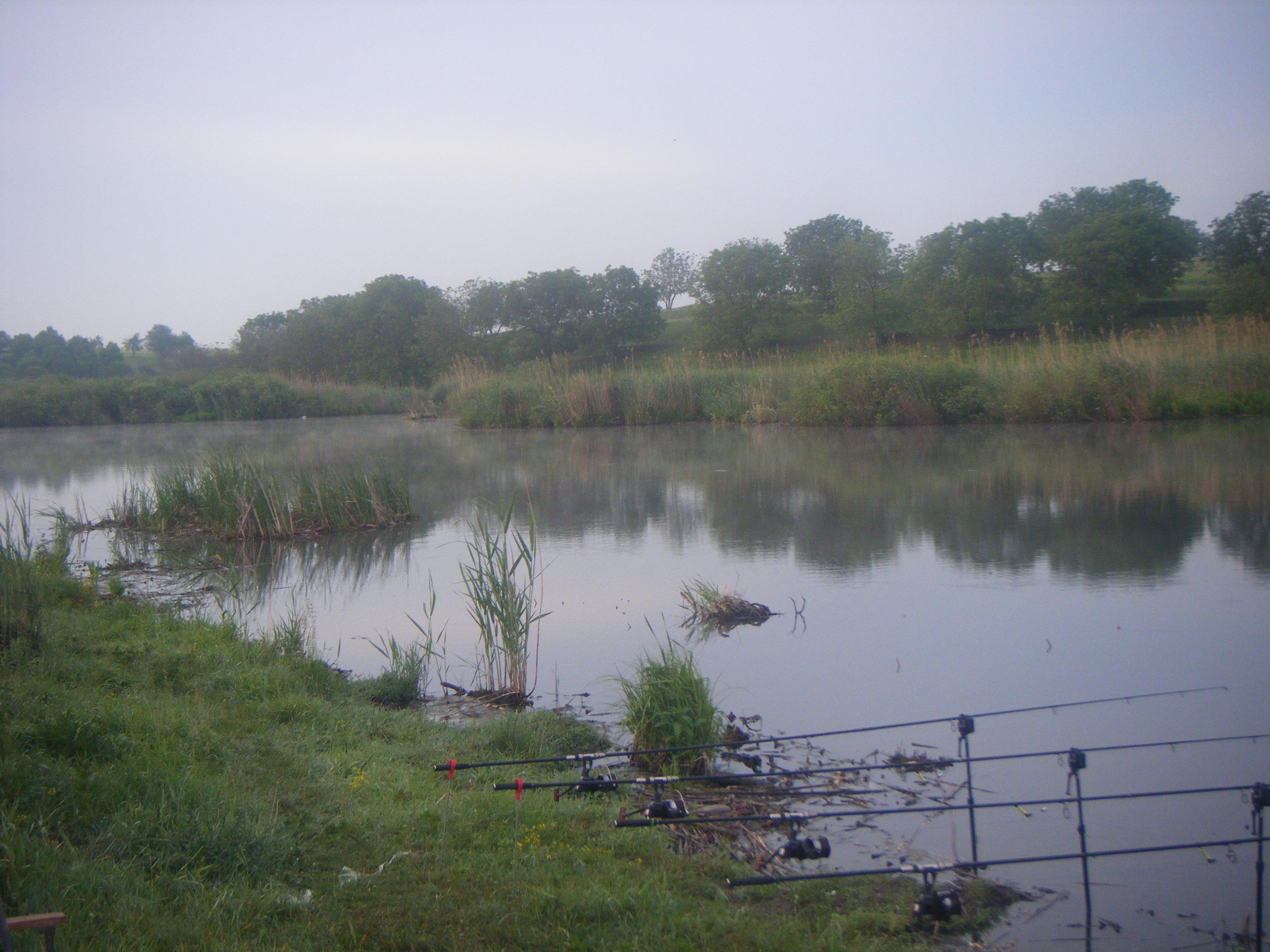 Chiroiu 4  - DSCF1158.JPG